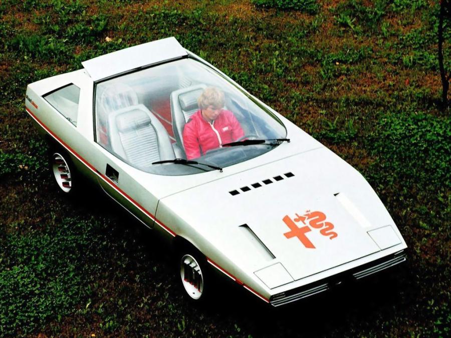  Alfa Romeo Alfasud Caimano Concept (901) 1971 года  (фото 30 из 32)